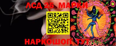 герыч Кингисепп