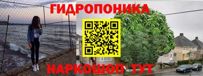 трава Кинель