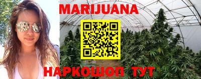 трава Кинель