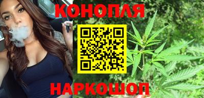 сатива Кимры