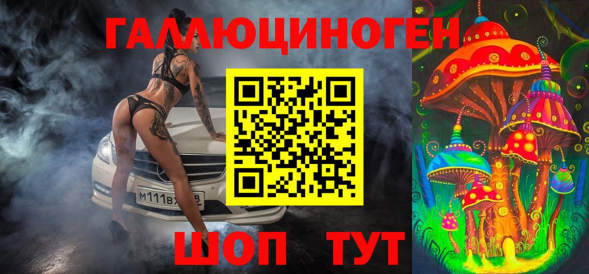 Псилоцибиновые грибы Psilocybe Благовещенск