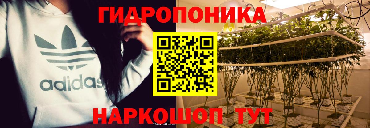 Канабис AK-47  Вход с VPN  Благовещенск  Бошки марихуана конопля 